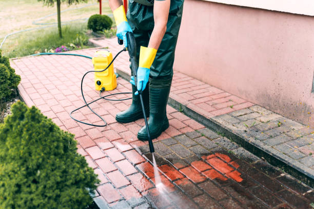 Best Window and Screen Pressure Cleaning in Tarpon Springs, FL